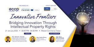 Innovative Frontiers: Bridging Innovation Through Intellectual Property Rights